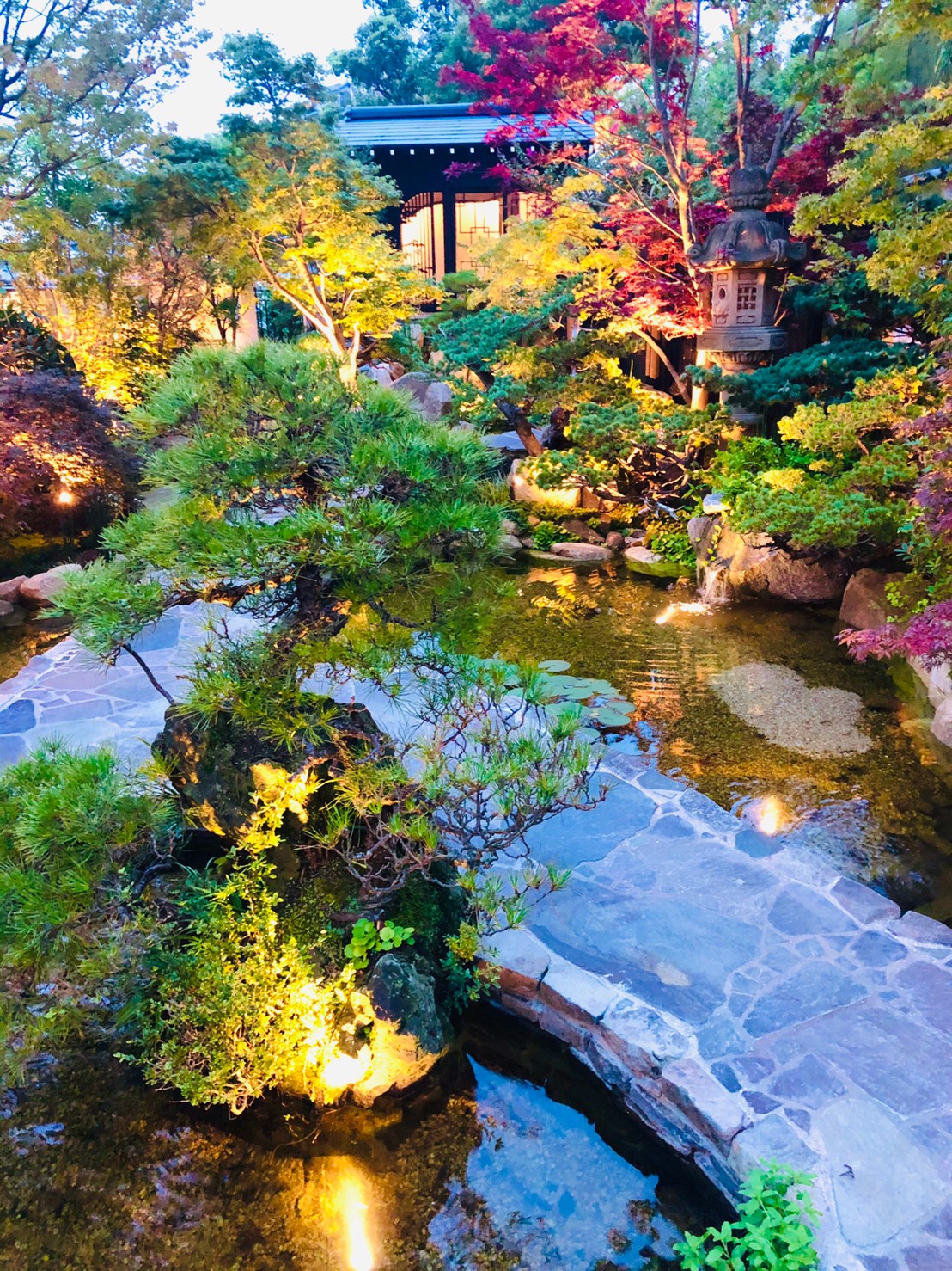 今日より明日が美しいお庭になるように | 庭園デザイナー石原和幸