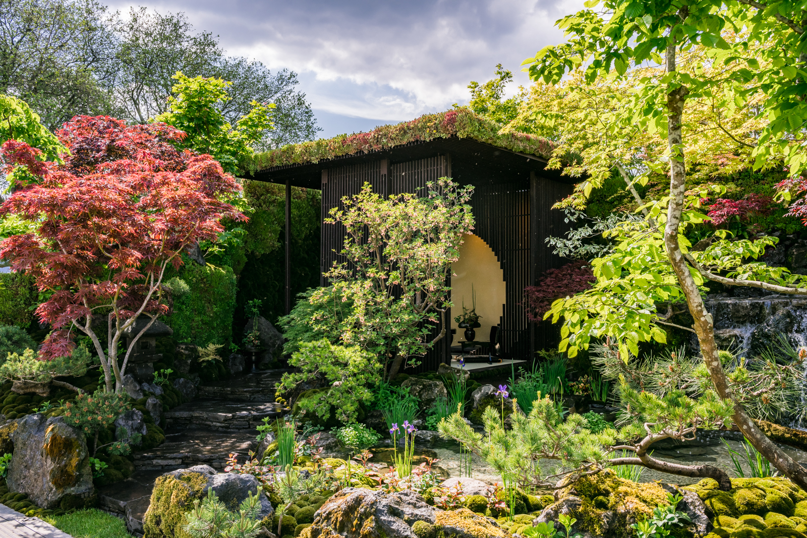 ベルサイユH95cm イタリア製洋風庭園 石造カップ型大型花鉢人気植木鉢 / イタルガーデン社 VR1696 カップ型 鉢（植木鉢・プランター｜ガーデニング・農業
