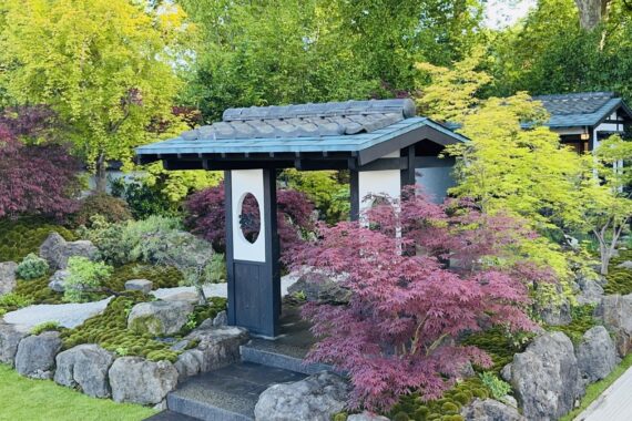 garden
