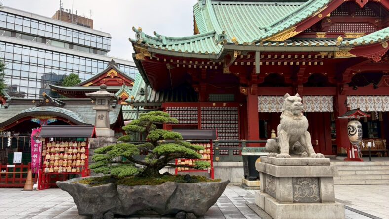 風景盆栽